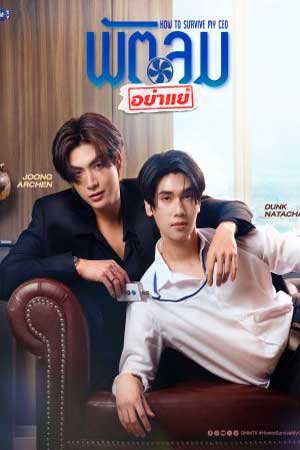 How To Survive My CEO